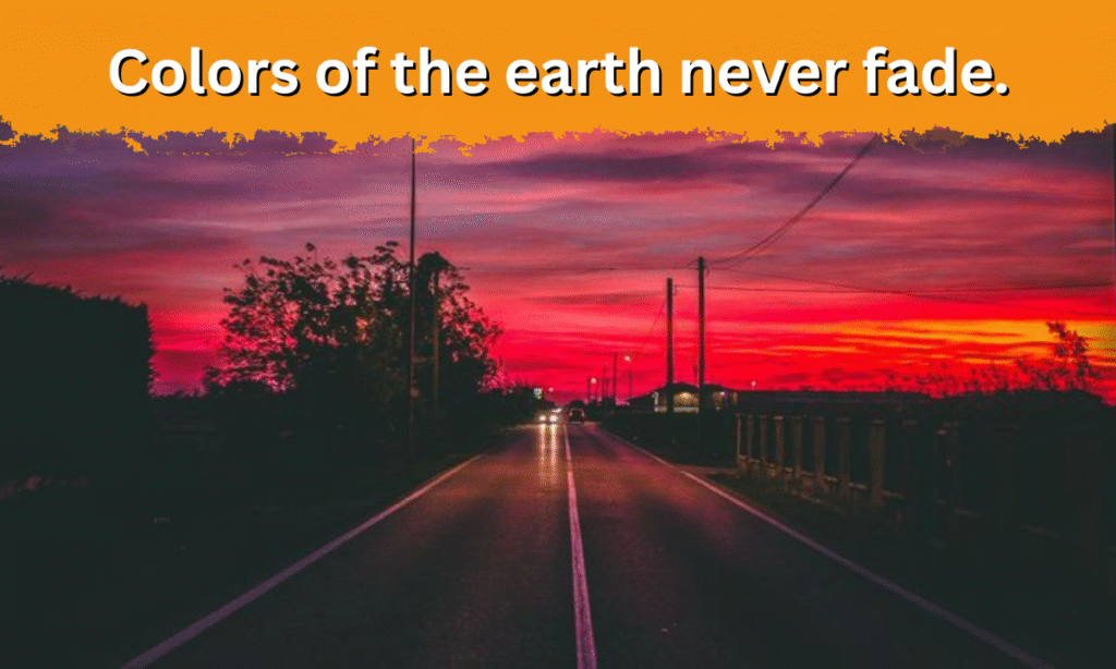 aesthetic nature captions for instagram