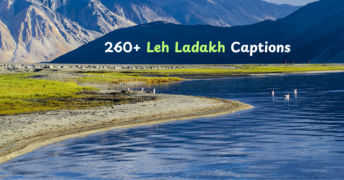 260+ Leh Ladakh Captions