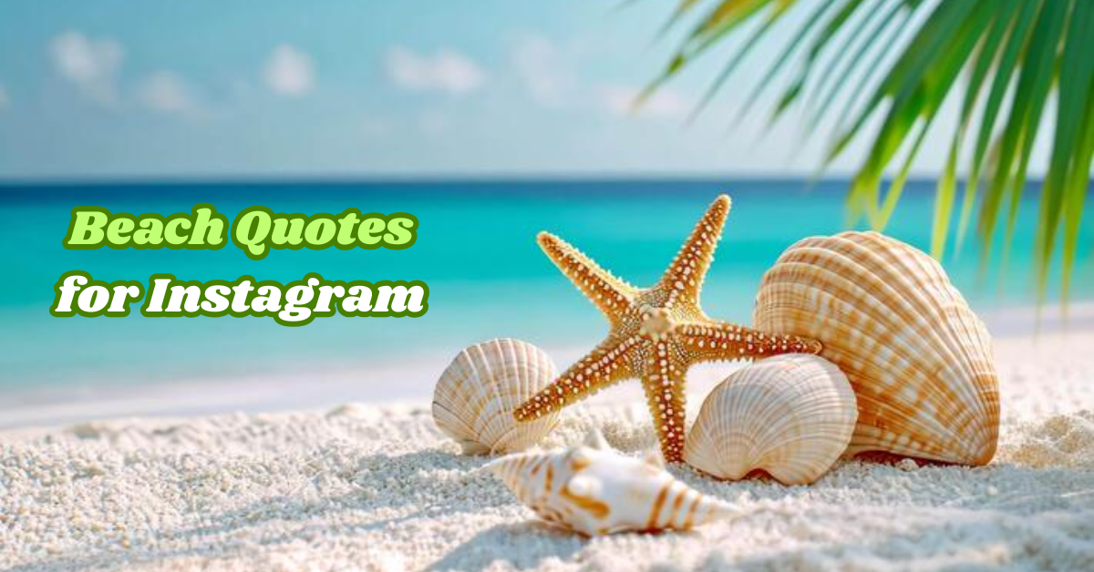 Beach Quotes
