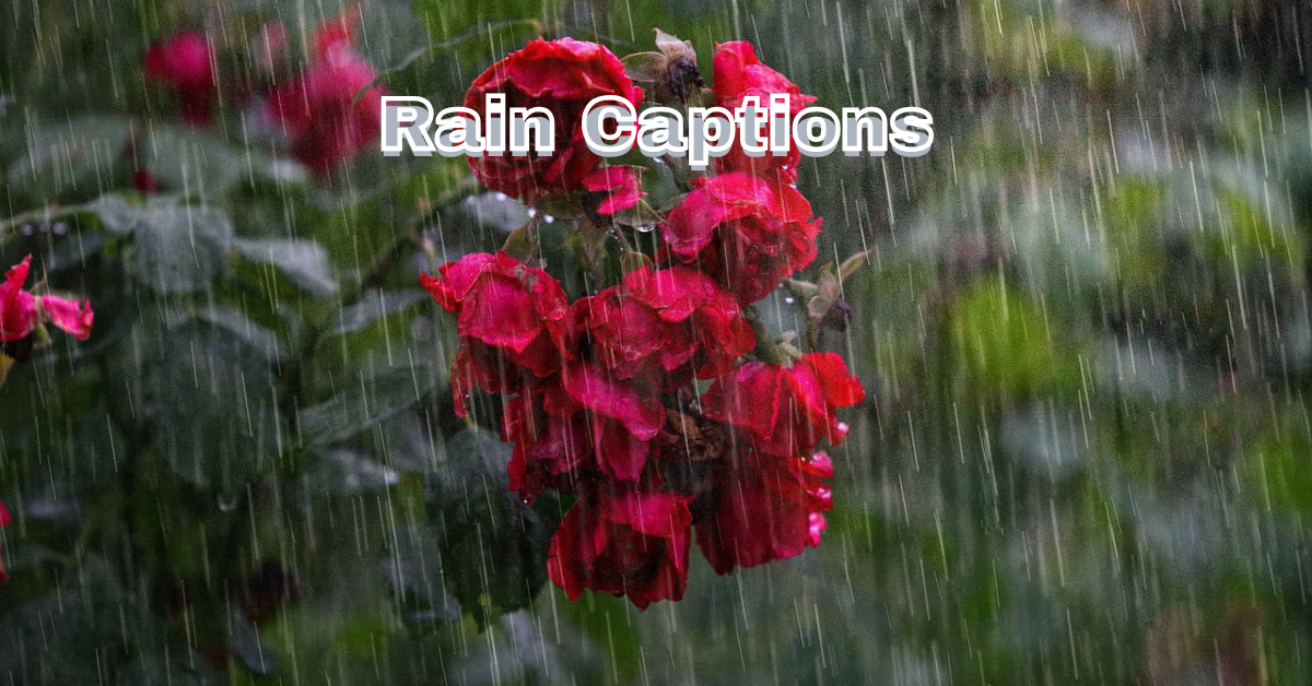 rain captions