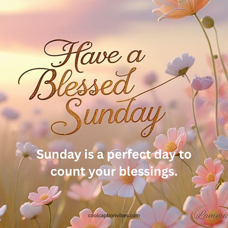 thankful sunday blessings