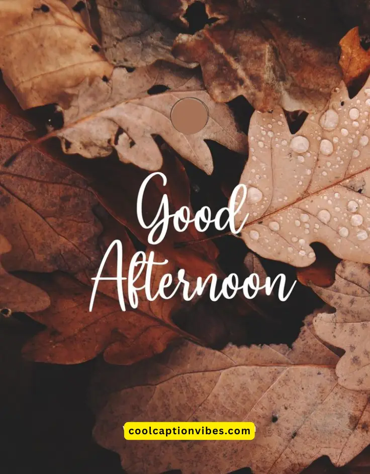 friday afternoon blessings